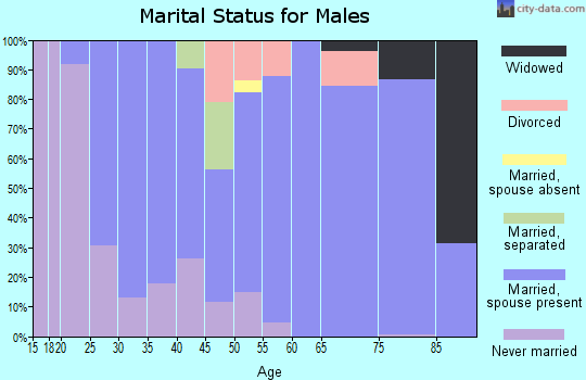 Zip code 17501 marital status for males