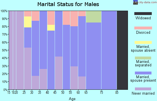 Zip code 17502 marital status for males