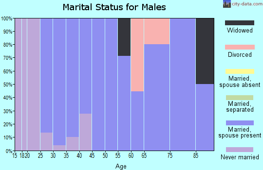 Zip code 17505 marital status for males