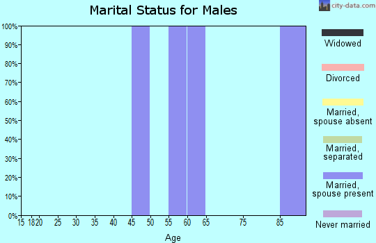 Zip code 17508 marital status for males