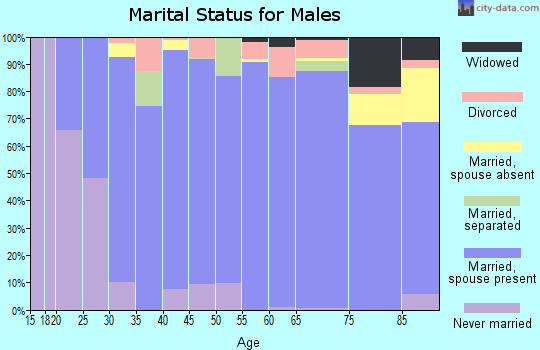 Zip code 17509 marital status for males