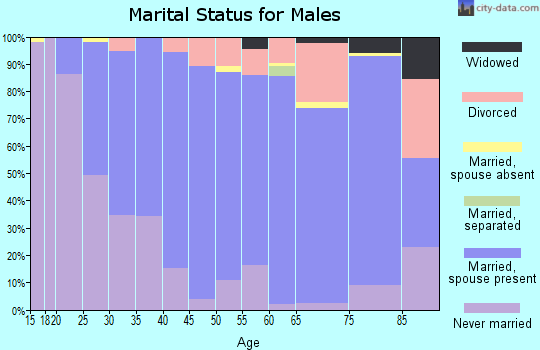 Zip code 17517 marital status for males