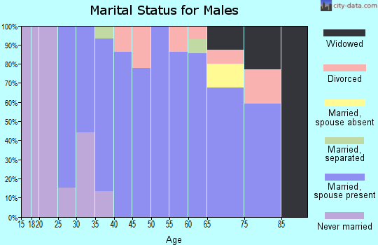 Zip code 17518 marital status for males