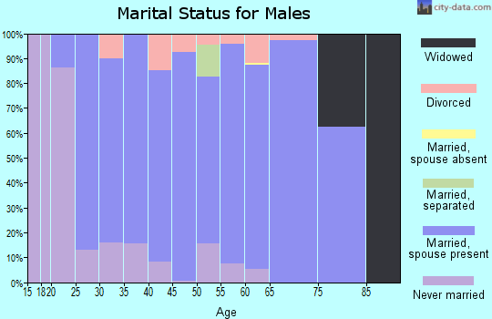 Zip code 17527 marital status for males