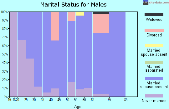 Zip code 17536 marital status for males