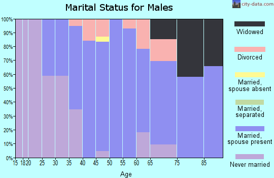 Zip code 17538 marital status for males