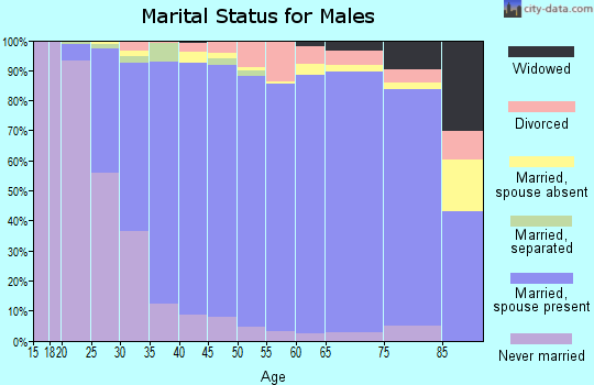 Zip code 17543 marital status for males