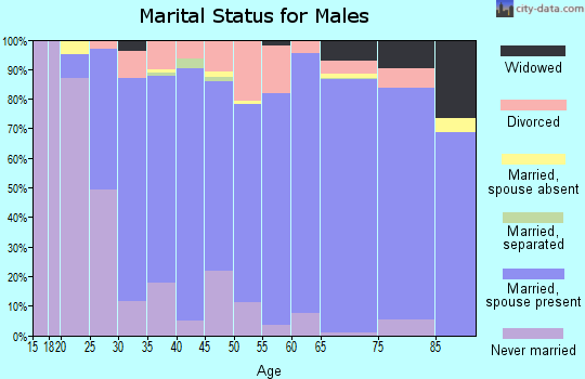 Zip code 17545 marital status for males