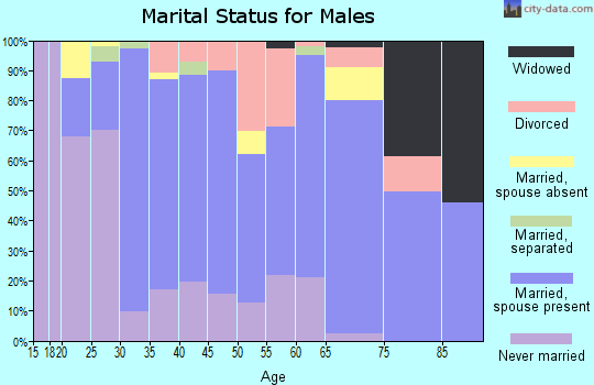 Zip code 17547 marital status for males