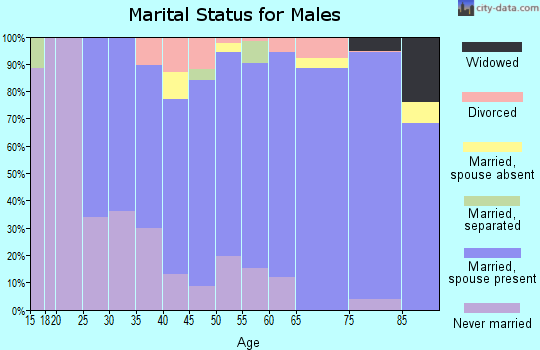 Zip code 17551 marital status for males