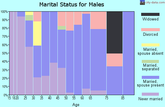 Zip code 17554 marital status for males
