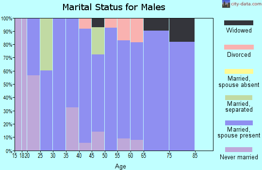 Zip code 17560 marital status for males