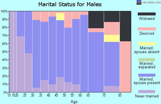 Zip code 17562 marital status for males
