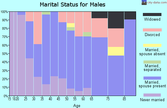 Zip code 17563 marital status for males
