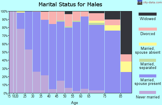 Zip code 17566 marital status for males