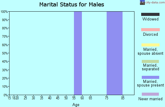 Zip code 17570 marital status for males