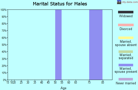 Zip code 17576 marital status for males