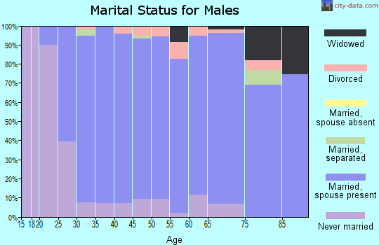 Zip code 17579 marital status for males