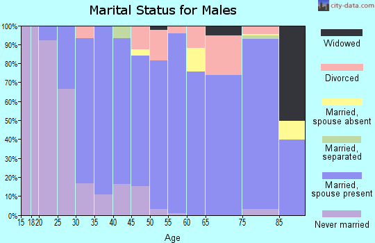 Zip code 17584 marital status for males
