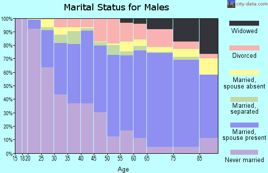 Zip code 17602 marital status for males