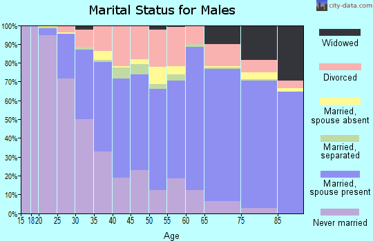 Zip code 17701 marital status for males