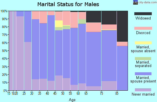 Zip code 17702 marital status for males