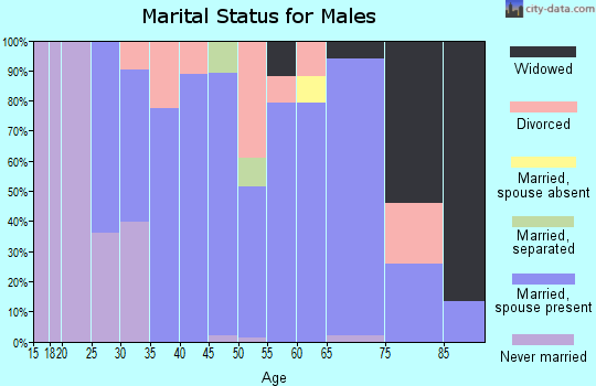 Zip code 17721 marital status for males