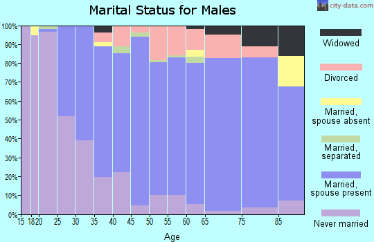 Zip code 17728 marital status for males