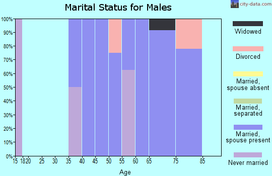 Zip code 17731 marital status for males
