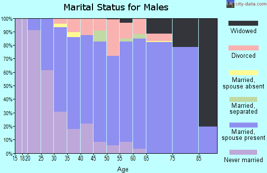 Zip code 17737 marital status for males