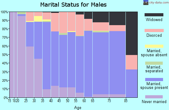 Zip code 17740 marital status for males