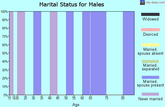 Zip code 17750 marital status for males