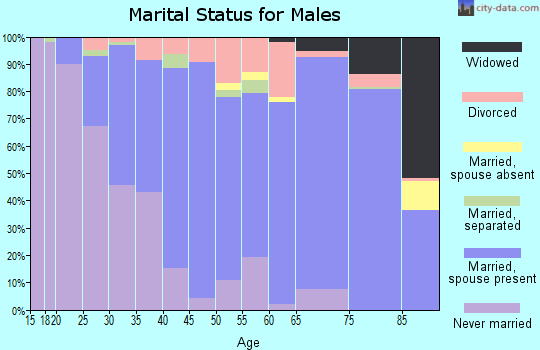 Zip code 17754 marital status for males