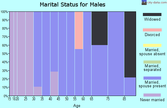 Zip code 17762 marital status for males