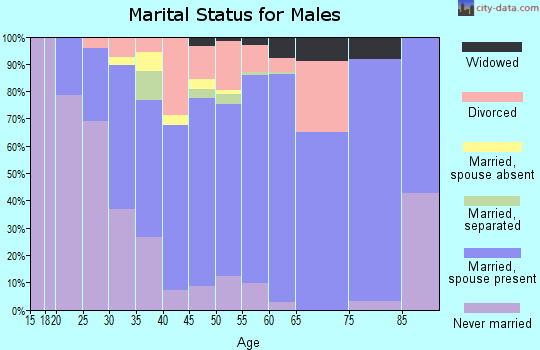 Zip code 17771 marital status for males