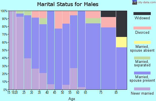 Zip code 17772 marital status for males