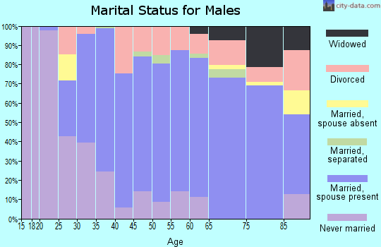 Zip code 17777 marital status for males