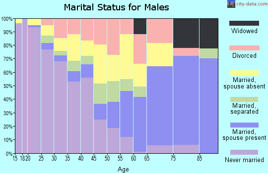 Zip code 17810 marital status for males