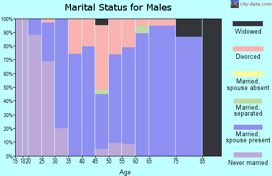 Zip code 17812 marital status for males