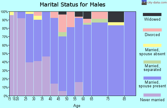 Zip code 17813 marital status for males