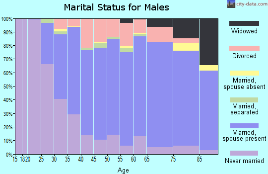 Zip code 17815 marital status for males