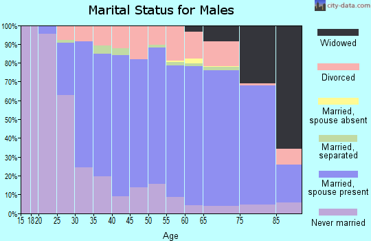 Zip code 17820 marital status for males