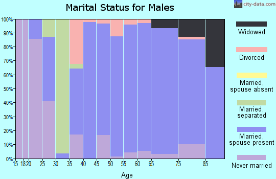 Zip code 17824 marital status for males