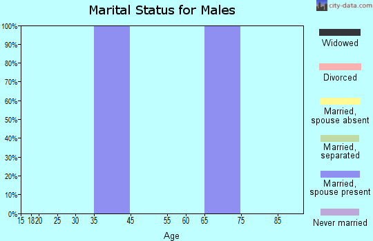 Zip code 17825 marital status for males