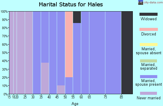 Zip code 17829 marital status for males