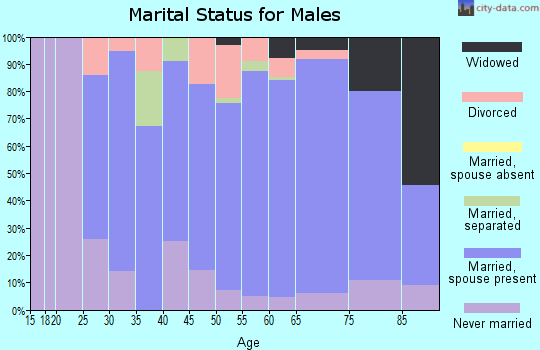 Zip code 17830 marital status for males