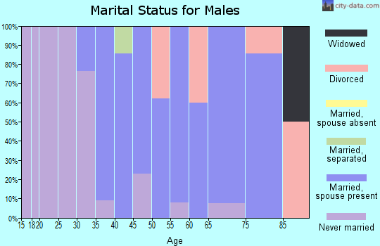 Zip code 17832 marital status for males