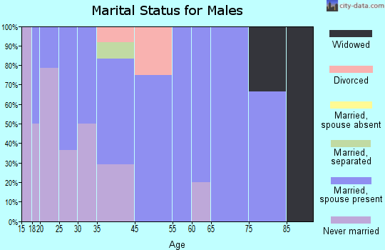 Zip code 17833 marital status for males