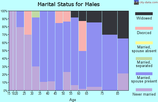 Zip code 17834 marital status for males