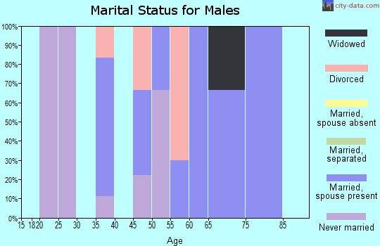 Zip code 17835 marital status for males
